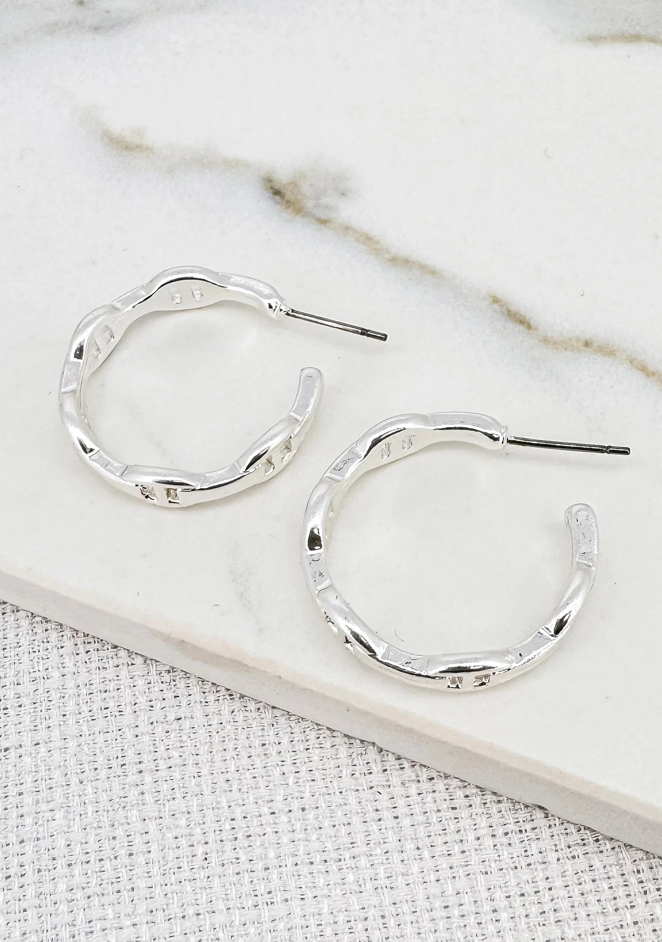 Envy Hoop Earrings